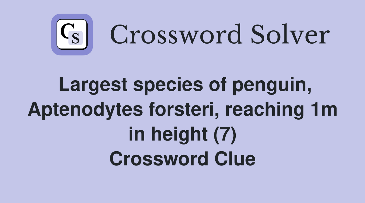 Largest species of penguin, Aptenodytes forsteri, reaching 1m in height